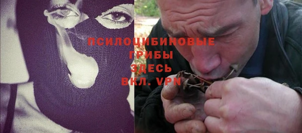 сатива Богородицк
