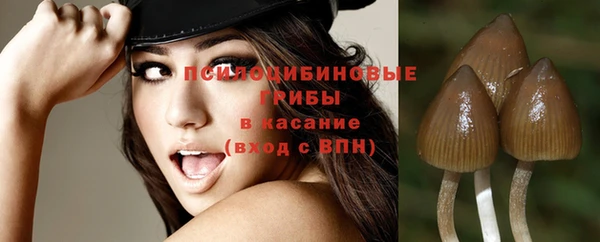 сатива Богородицк