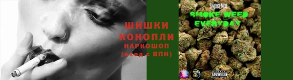 прущая мука Богданович