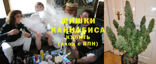 сатива Богородицк